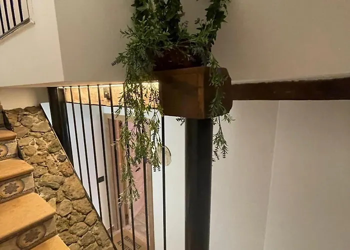 La Morada De Rialla Santa Pau