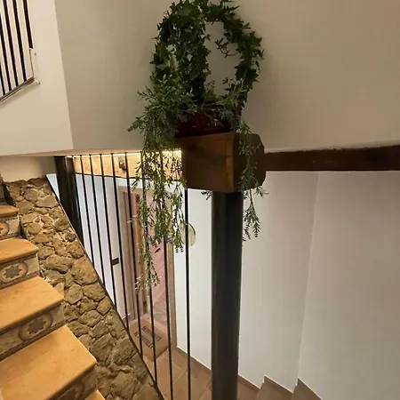 La Morada De Rialla Santa Pau